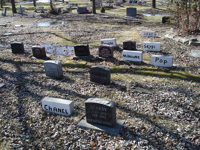 Cimetière pour animaux  /  Pet cemetery  - Mon Repos /   Dans ma région - in my area.  Québec, Canada /    16 mars 2010 - Photo originale / Original picture