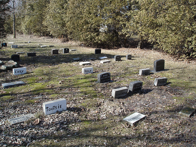 Cimetière pour animaux  /  Pet cemetery  - Mon Repos /   Dans ma région - in my area.  Québec, Canada /    16 mars 2010 - Photo originale / Original picture