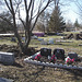 Cimetière pour animaux  /  Pet cemetery  - Mon Repos /   Dans ma région - in my area.  Québec, Canada /    16 mars 2010 - Photo originale / Original picture