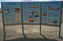 Trona Pinnacles Info (5456)