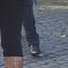 Falcon reflexion mature Lady in black gleaming boots /  Dame suédoise et mature en bottes noires et luisantes -  Ängelholm / Suède - Sweden - 23 octobre 2008