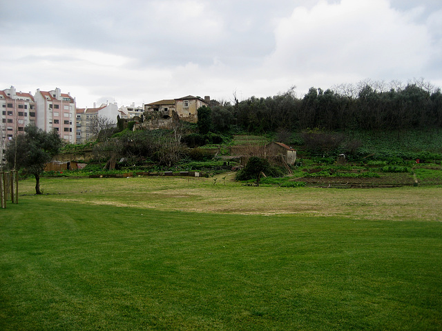 Benfica, a farm in the middle of the city (1)