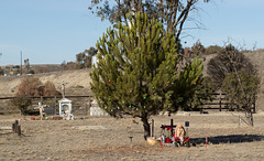 San Lucas cemetery (0961)