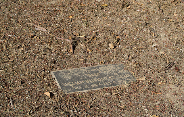 San Lucas cemetery (0971)