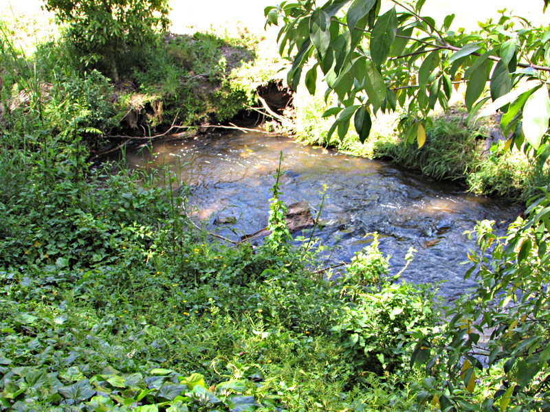 The stream