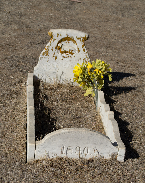 San Lucas cemetery (0970)