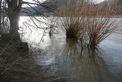 Die Elbe am 1.3.2010