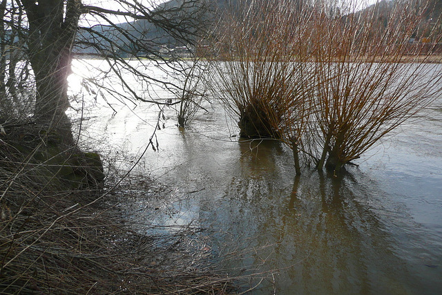 Die Elbe am 1.3.2010