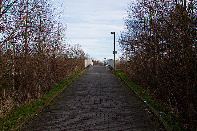 20140107 3214RAw Brücke