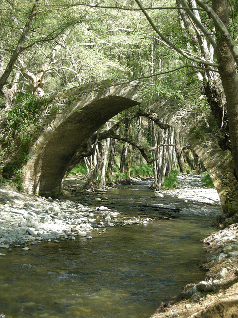 Venetian Bridge