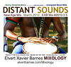 DistantSounds.NewAge.UnsignedBandWeb.March2010