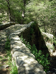 Venetian Bridge