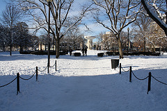 08.DayAfterSnowBlizzard.DupontCircle.WDC.7February2010