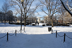 09.DayAfterSnowBlizzard.DupontCircle.WDC.7February2010