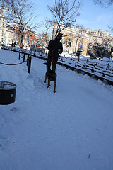 10.DayAfterSnowBlizzard.DupontCircle.WDC.7February2010