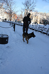 11.DayAfterSnowBlizzard.DupontCircle.WDC.7February2010