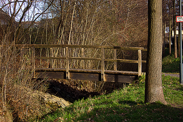 20140107 3187RAw Brücke