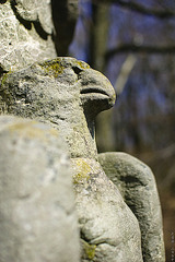 Hermanns Falke
