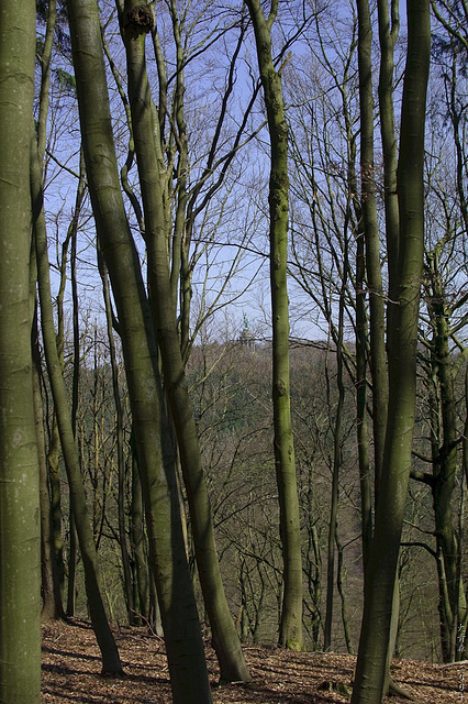 Last Look at the Hermann