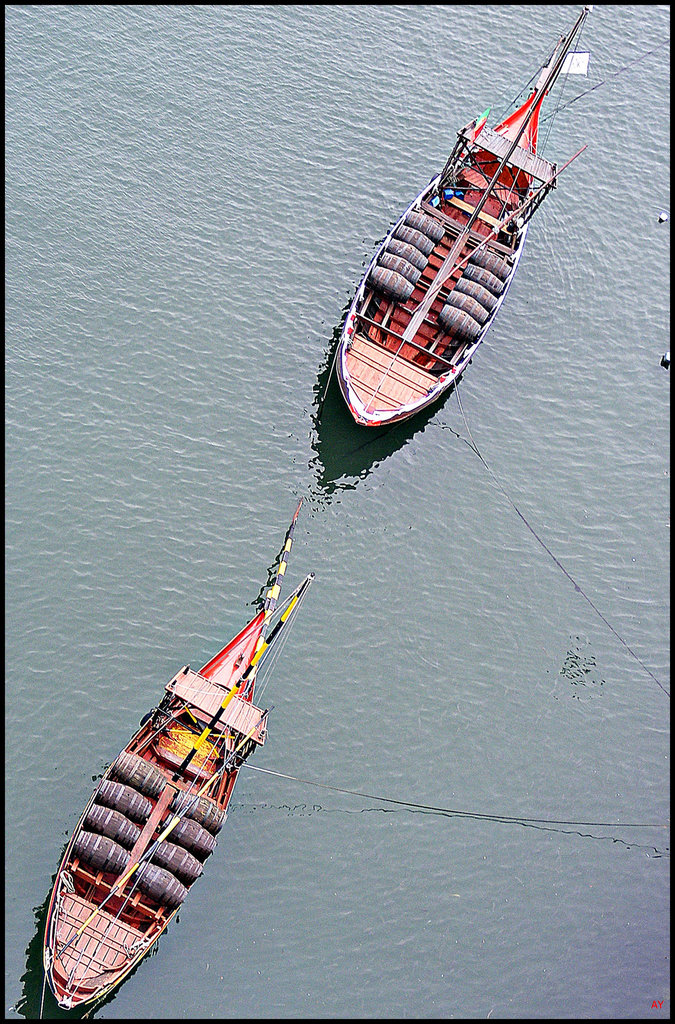 Barrels on the Douro