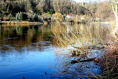 Die Elbe steigt 27.02.2010