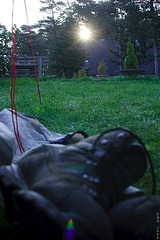Next Morning