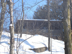 La Grotte des Pères Franciscains /   LACHUTE, Québec - CANADA -  Janvier 2007