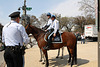 10.ReformImmigration.MOW.Rally.WDC.21March2010