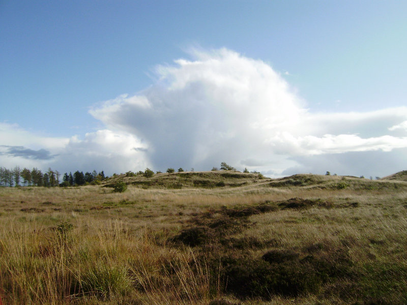 Erholung in Dänemark