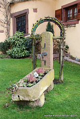 fontaine Marlenheim