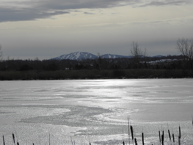 REFLET SUR LA GLACE