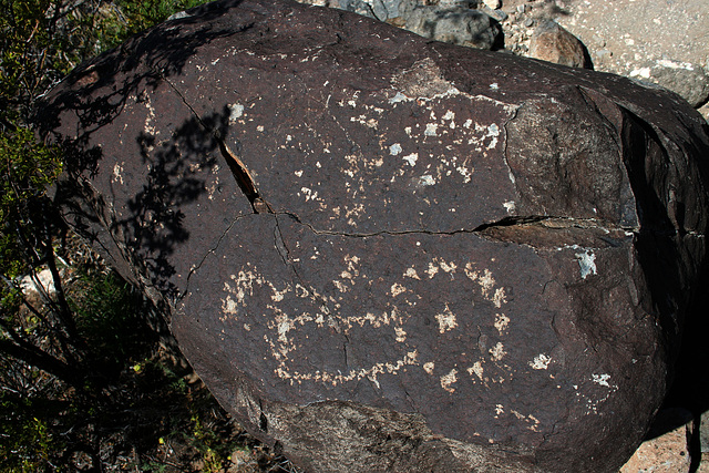 Three Rivers Petroglyphs (5833)
