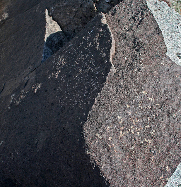 Three Rivers Petroglyphs (5834)