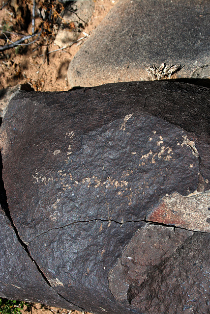 Three Rivers Petroglyphs (5835)