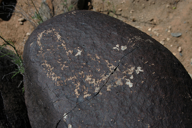 Three Rivers Petroglyphs (5836)