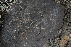 Three Rivers Petroglyphs (5838)