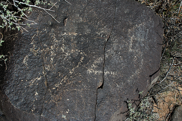 Three Rivers Petroglyphs (5838)