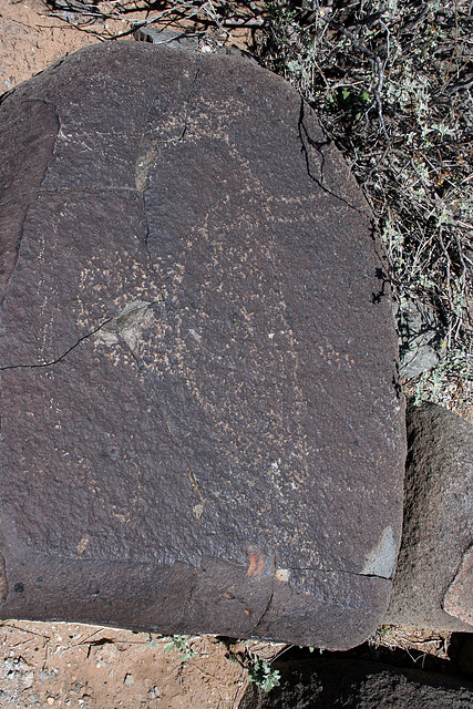 Three Rivers Petroglyphs (5839)