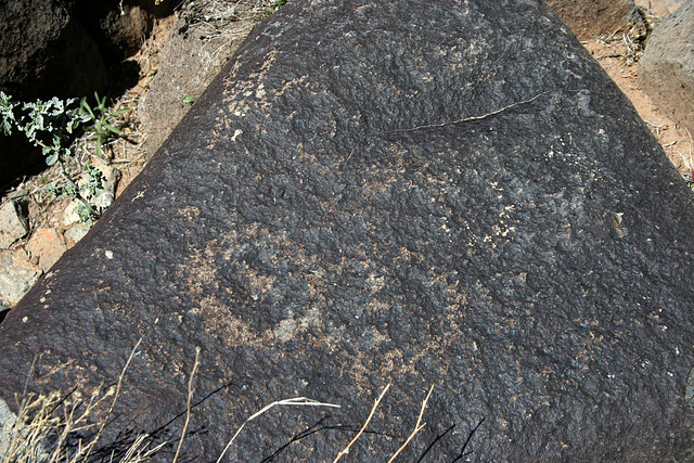 Three Rivers Petroglyphs (5841)