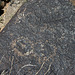 Three Rivers Petroglyphs (5841)