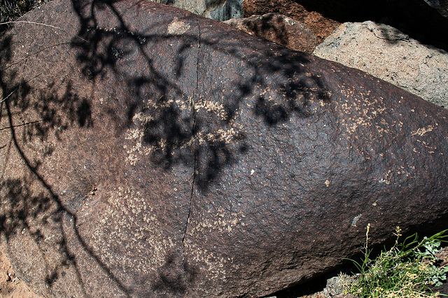Three Rivers Petroglyphs (5842)