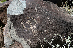 Three Rivers Petroglyphs (5843)