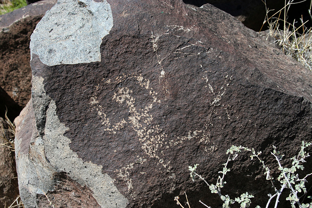 Three Rivers Petroglyphs (5843)