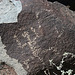 Three Rivers Petroglyphs (5843)