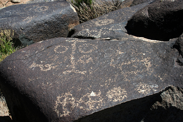 Three Rivers Petroglyphs (5846)