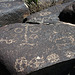 Three Rivers Petroglyphs (5846)