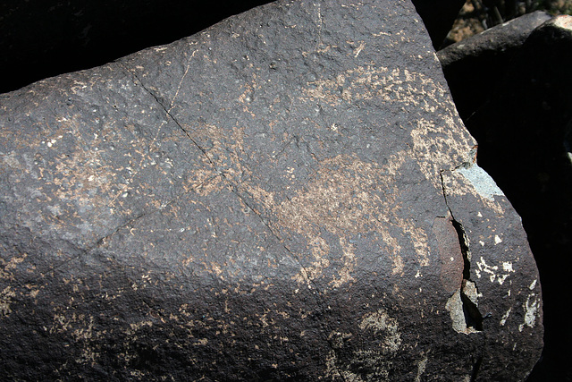 Three Rivers Petroglyphs (5848)