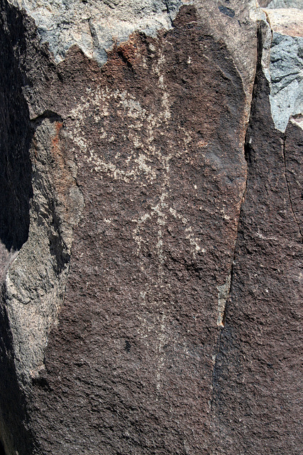 Three Rivers Petroglyphs (5849)