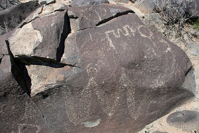 Three Rivers Petroglyphs (5854)