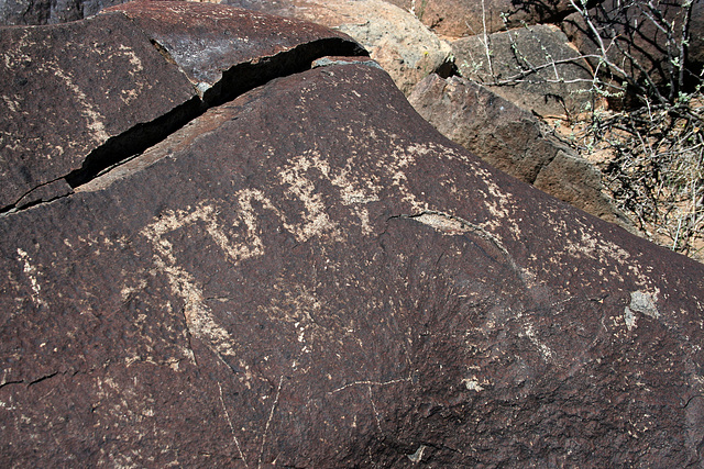 Three Rivers Petroglyphs (5855)